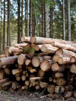 Taille du marché de la vente en gros de bois d’œuvre au Canada (2024-2029)